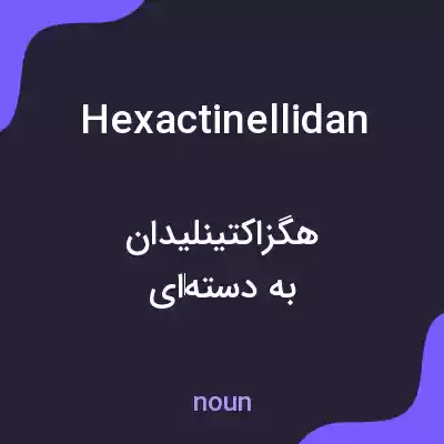 معنی hexactinellidan به فارسی معنی hexactinellidan به فارسی