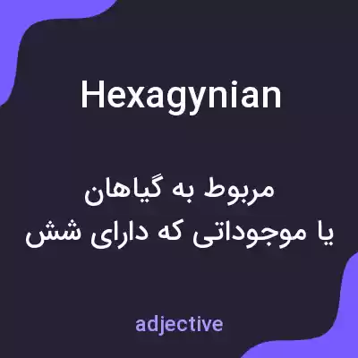 معنی hexagynian به فارسی معنی hexagynian به فارسی