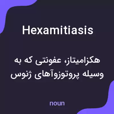 معنی hexamitiasis به فارسی معنی hexamitiasis به فارسی