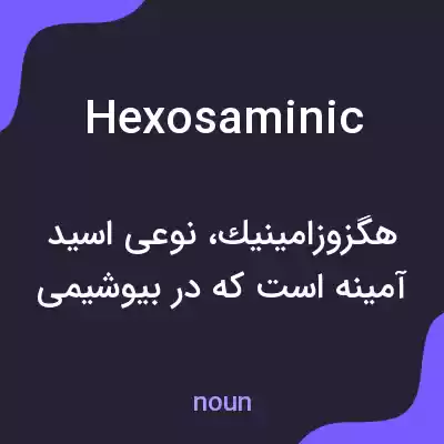 معنی hexosaminic به فارسی معنی hexosaminic به فارسی