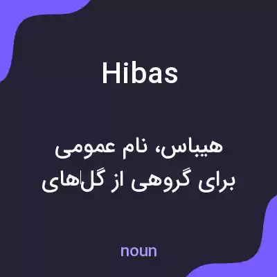 معنی hibas به فارسی