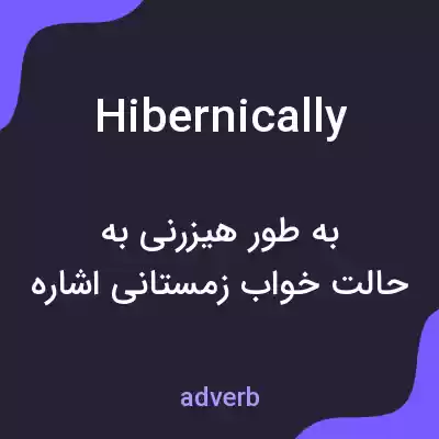 معنی hibernically به فارسی