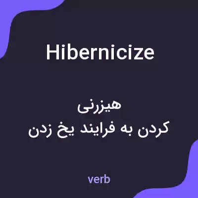 معنی hibernicize به فارسی