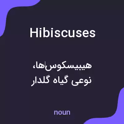 معنی hibiscuses به فارسی معنی hibiscuses به فارسی