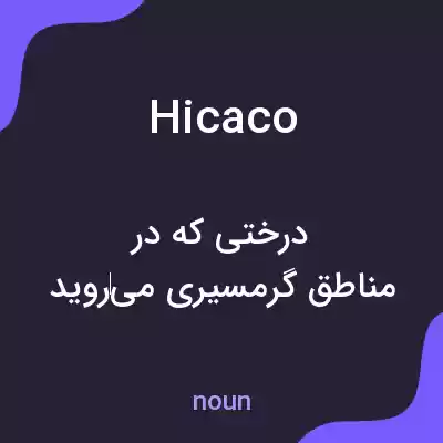 معنی hicaco به فارسی معنی hicaco به فارسی