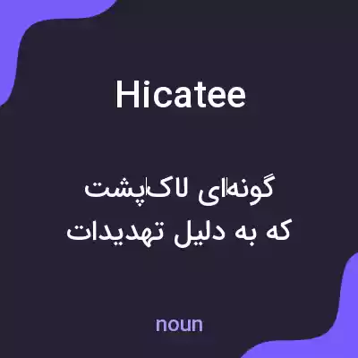معنی hicatee به فارسی معنی hicatee به فارسی