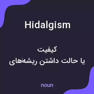 معنی hidalgism به فارسی معنی hidalgism به فارسی