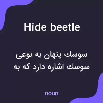 معنی hide beetle به فارسی معنی hide beetle به فارسی