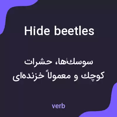 معنی hide beetles به فارسی معنی hide beetles به فارسی