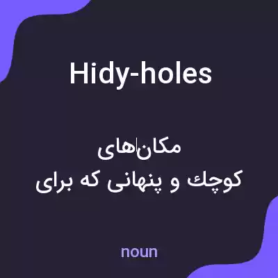 معنی hidy-holes به فارسی معنی hidy-holes به فارسی