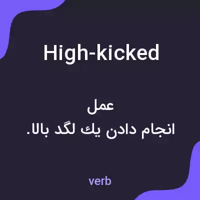 معنی high-kicked به فارسی معنی high-kicked به فارسی