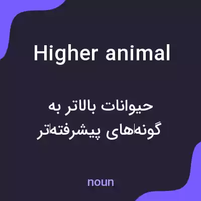 معنی higher animal به فارسی معنی higher animal به فارسی