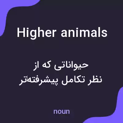 معنی higher animals به فارسی معنی higher animals به فارسی