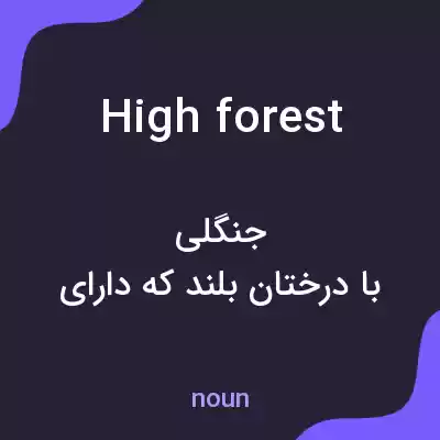 معنی high forest به فارسی معنی high forest به فارسی