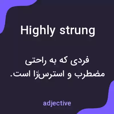 معنی highly strung به فارسی معنی highly strung به فارسی