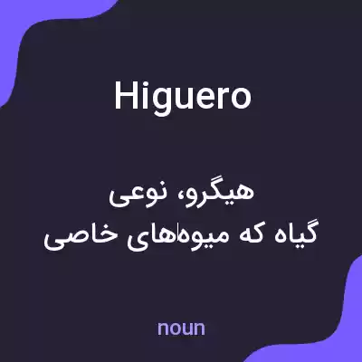 معنی higuero به فارسی