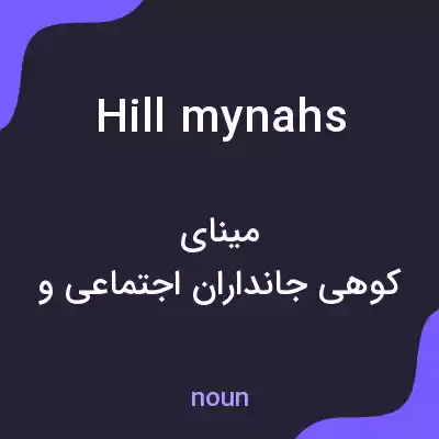 معنی hill mynahs به فارسی معنی hill mynahs به فارسی