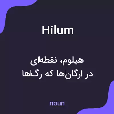 معنی hilum به فارسی
