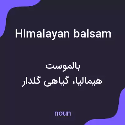 معنی himalayan balsam به فارسی معنی himalayan balsam به فارسی