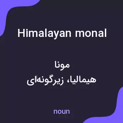 معنی himalayan monal به فارسی معنی himalayan monal به فارسی