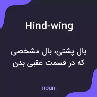 معنی hind-wing به فارسی معنی hind-wing به فارسی