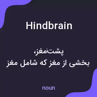 معنی hindbrain به فارسی معنی hindbrain به فارسی