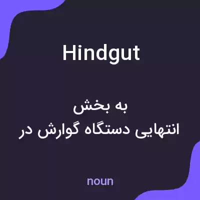 معنی hindgut به فارسی معنی hindgut به فارسی