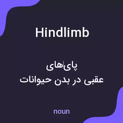 معنی hindlimb به فارسی معنی hindlimb به فارسی