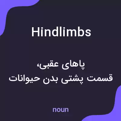 معنی hindlimbs به فارسی معنی hindlimbs به فارسی