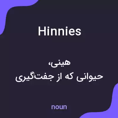 معنی hinnies به فارسی