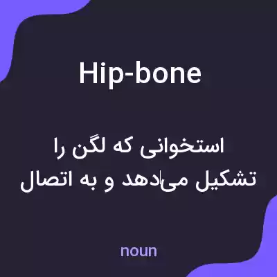 معنی hip-bone به فارسی معنی hip-bone به فارسی