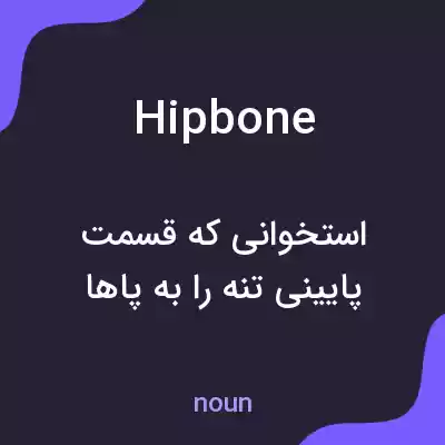 معنی hip bone به فارسی معنی hip bone به فارسی