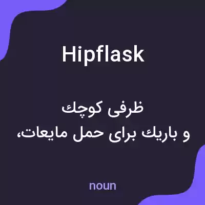 معنی hip flask به فارسی معنی hip flask به فارسی