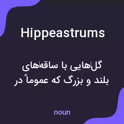معنی hippeastrums به فارسی معنی hippeastrums به فارسی