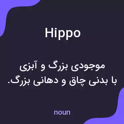 معنی hippo به فارسی