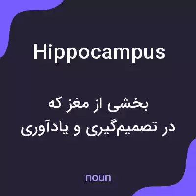 معنی hippocampus به فارسی معنی hippocampus به فارسی
