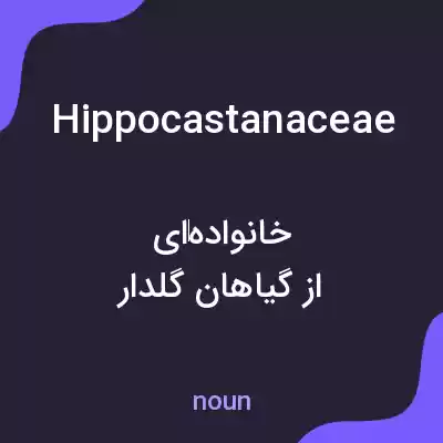 معنی hippocastanaceae به فارسی معنی hippocastanaceae به فارسی