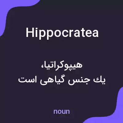 معنی hippocratea به فارسی معنی hippocratea به فارسی