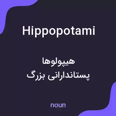 معنی hippopotami به فارسی معنی hippopotami به فارسی