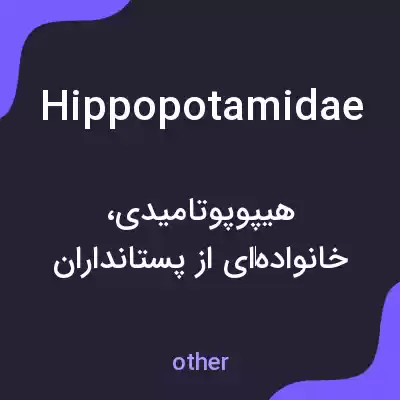 معنی hippopotamidae به فارسی معنی hippopotamidae به فارسی