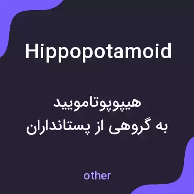 معنی hippopotamoid به فارسی معنی hippopotamoid به فارسی