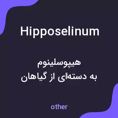 معنی hipposelinum به فارسی معنی hipposelinum به فارسی