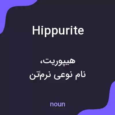 معنی hippurite به فارسی معنی hippurite به فارسی