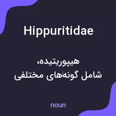 معنی hippuritidae به فارسی معنی hippuritidae به فارسی