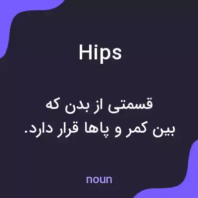 معنی hips به فارسی معنی hips به فارسی