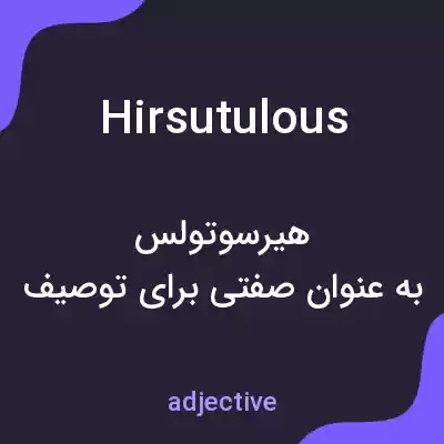 معنی hirsutulous به فارسی معنی hirsutulous به فارسی