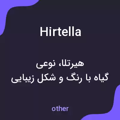 معنی hirtella به فارسی معنی hirtella به فارسی