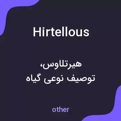 معنی hirtellous به فارسی معنی hirtellous به فارسی