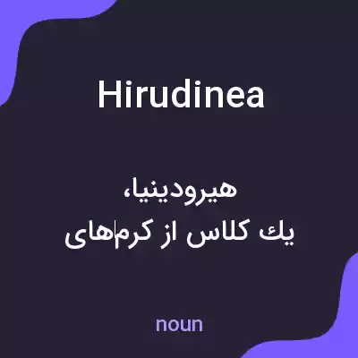 معنی hirudinea به فارسی معنی hirudinea به فارسی