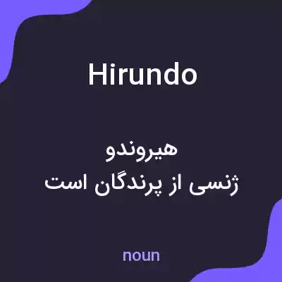 معنی hirundo به فارسی معنی hirundo به فارسی
